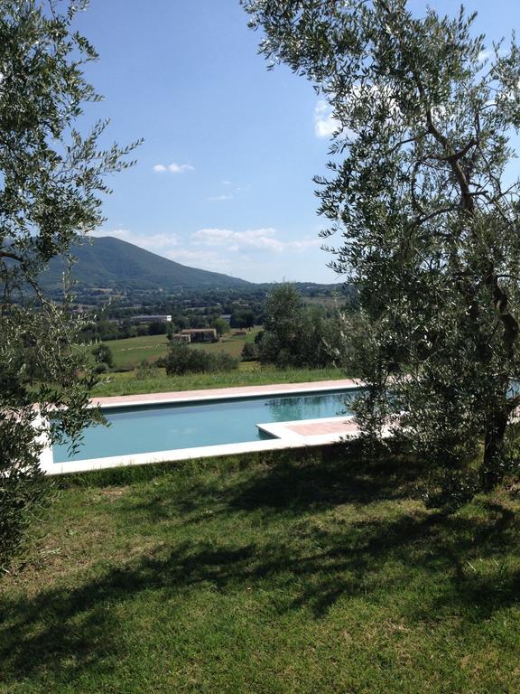 La Casa Nell'Oliveto Bed & Breakfast Acquasparta Exterior photo